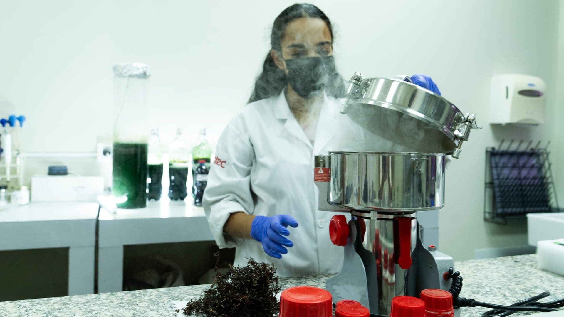 Biofertilizante costero